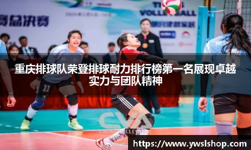 yy体育