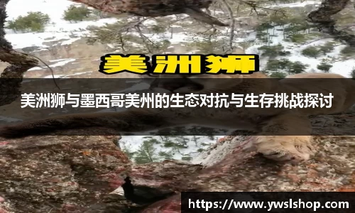 易游体育